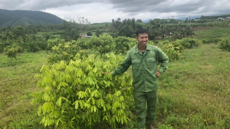 Sut lê̆ pơngot tơjur hin dơnuh – Đei jơnei păng dôm ƀai hŏk 