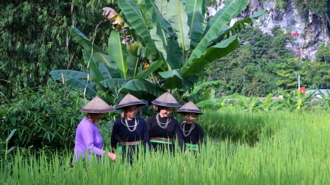 PỈ NOỌNG TỈNH ĐÀI XÁU CHƯƠNG TRÌNH (Chủ Nhật, Vằn 24 bươn 9 pi 2023)