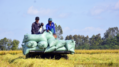 URAK INI, URANG NÔNG CẦN THƠ YUAK HU BLAOH 20.000 HA PADAI THU ĐÔNG, HU MENG 5 TẤN 3 TAL 5 TẤN METEH YAOK HA