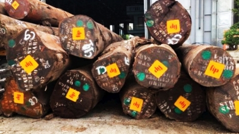 Bộ Nông nghiệp lâng Pa dưr pa xơc vel bhươl xay moon đợ n’loong ơy câl tơợ k’tiếc k’ruung lơơng chô ooy Việt Nam