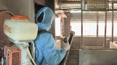 Gia Lai: Klei ruă êngoh bi ƀlĕ êrah mâo dleh dưi ksiêm dlăng, 1 čô djiê