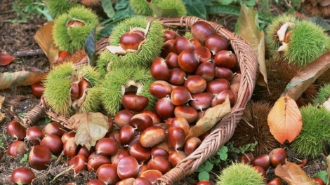 CHƯƠNG TRÌNH KHAY HENG TÀY - NÙNG (Chủ Nhật, Vằn 24 bươn 9 pi 2023)