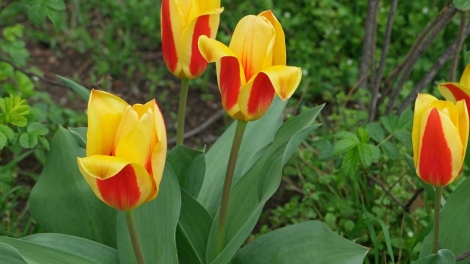 T'RUIH PA XƯL T'NGAY 24/9/2023