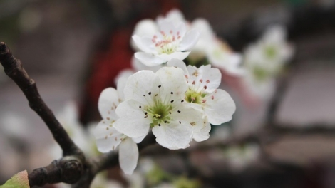 T'RUIH PA XƯL T'NGAY 19/9/2023