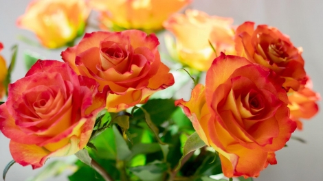 T'RUIH PA XƯL T'NGAY 23/9/2023