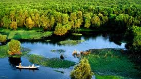 Danak dak sap Cam 20_09_2023