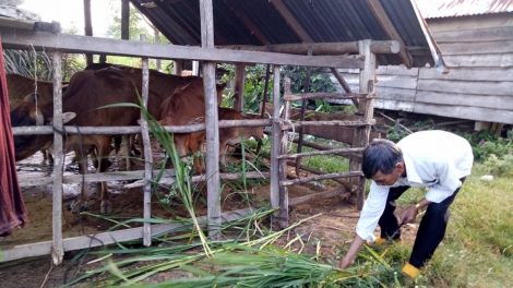 Dak Lak ba Tơlơi pơtrun pơsit mut amăng tơlơi hơdip mơda 