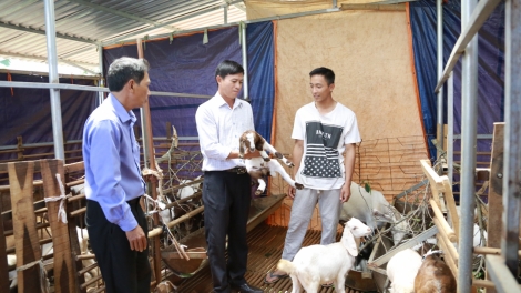 Càr Dăk Lăk geh rơlao 700 hợp ták xã