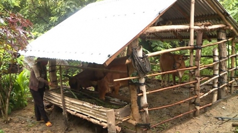 Phú Yên: Zooi đhanuôr da ding k’coong t’bil lơi ha ul đharựt tơợ zên vặ t’đui đoọng