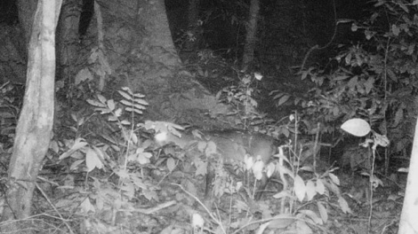 Quảng Bình t’bhlâng trông dấc xoong xoor đhị đhr’năng k’noọ bil pất