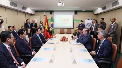 Thủ tướng vơt kruanh rmôt Nghị sĩ tâm rnglăp Brazil- Việt Nam.