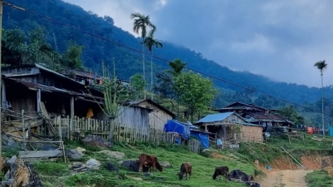 Quảng Nam: K’đươi pa căh Nghị quyết xăl lâh 15.700 đong ặt ba bơơ