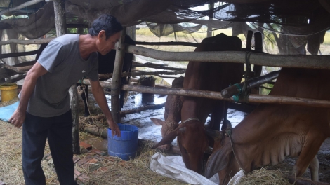 ជនរួមជាតិខ្មែរខេត្តត្រាវិញរួចផុតភាពក្រីក្រ ពីប្រភពទុនសម្រាប់ផ្គត់ផ្គង់ជីវភាព។