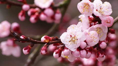 T'RUIH PA XƯL T'NGAY 22/9/2023