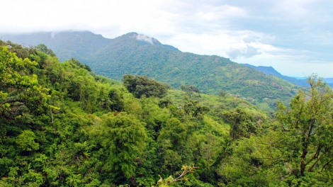 Quảng Nam: Ra pặ lâh 1,7 tỷ đồng đoọng ha pêê vel đong choh crâng pay bha lầng ga măc