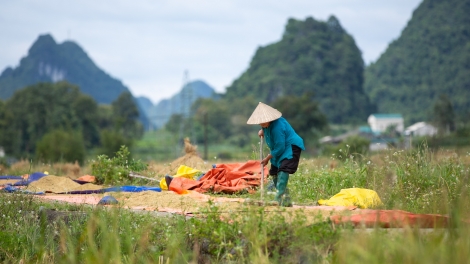 CHƯƠNG TRÌNH KHAY HENG TÀY-NÙNG (Thứ Ba- Vằn 31/10/2023)