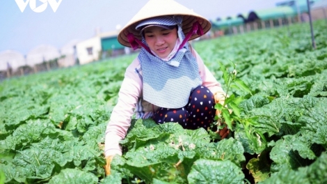 Kum kuăn pơlê tê tơmeăm pêi lo ing chiâk deăng tơniăn