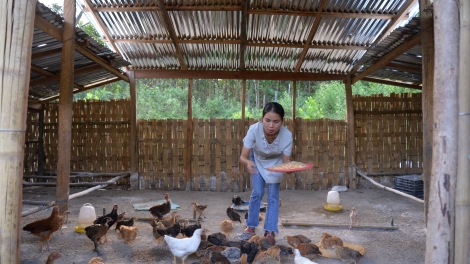 A Lăng Thị Công: Tơớp bhrợ cha tơợ bh’rợ băn a tứch p’loh coh bhươn