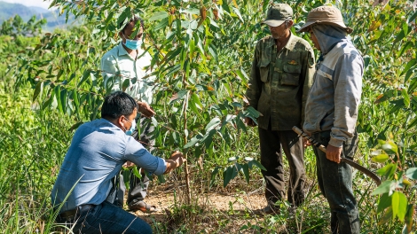 Prăk pơgang glai klô – Prăk djru neh wa pơđĭ kyar bơwih ƀong