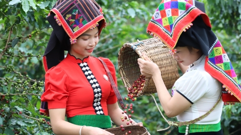 Ngon tô thứ 7 mự 21 bườn 10 pì 2023 – Pàng hội cà phê tỉnh Sơn La - chôm xừng cà phê Việt Nàm