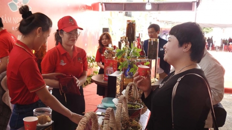 Festival sâm Ngọc Linh kô tơkŭm po 2 hơnăm môi hdroh