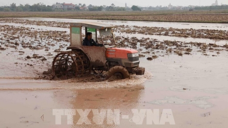 Haanh déh g’luh 43 T’ngay ch'na đh'nắh bha lang k’tiếc