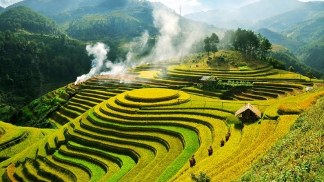 Phai paz nhây phiến