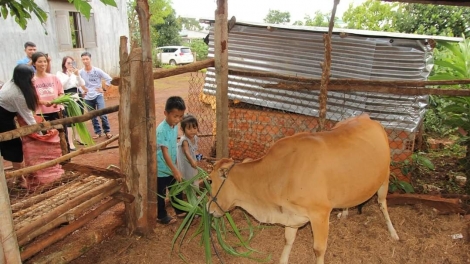 Gia Lai: Pơjao trong jang sa ăn hơ ioh ŭnh hnam tơnap tap