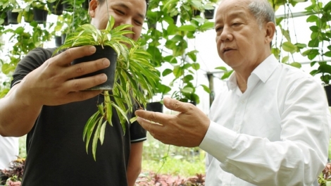 Tơợp bhrợ Trung tâm Giáo dục bh’rợ tr’nêng - Giáo dục thường xuyên Nam Đông (Thừa Thiên Huế)