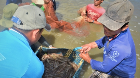 ពត៌មាន ម៉ោង ១៥