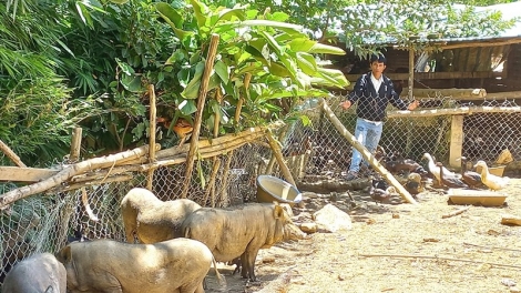 Quảng Nam: Lâh 278 tỷ đồng t’bấc c’lâng bh’rợ bhrợ cha, pa dưr cr’noọ bh’rợ pa xiêr đha rựt cr’chăl c’moo 2021 - 2025