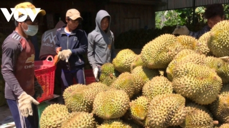 ពត៌មាន ម៉ោង​ ៦