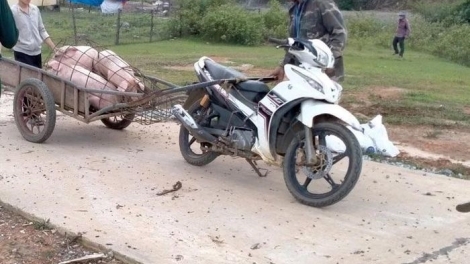 Lêệng tập lơi k’ha riêng p’nong a’ọc crêê pr’lúh cóh da ding k’coong Quảng Bình