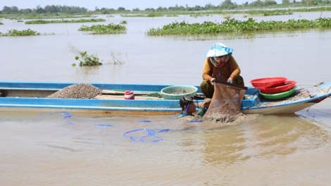 ប្រកបរបរចិញ្ចឹមជីវិតក្នុងរដូវទឹកជំនន់យឺតនៅតំបន់ដើមប្រភពវាលរាបគឺវឡុង។