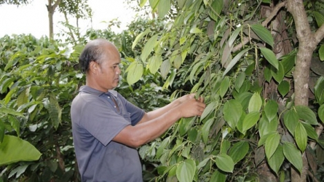 Y -Tuyên Ƀuôn Krông – Đảng viên thâo bi hmô hlăm bruă mkŏ mkra krĭng ƀuôn sang mrâo 