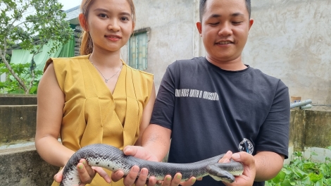 JAK JENG MENG BRUK RAONG ULA RI IKAN 