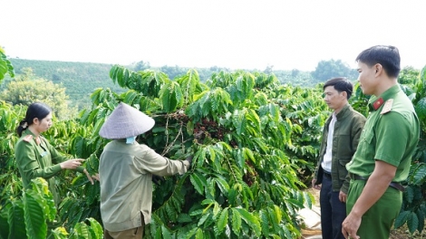 Tơniăn ăm kuăn pơlê tung rơnó krí kơphế