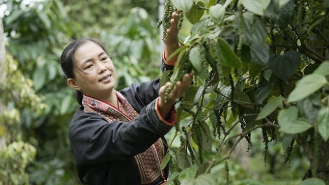 Mơdêk pêi pro ƀă tê mơdró krá ton ‘na kloăng tiu Việt Nam 