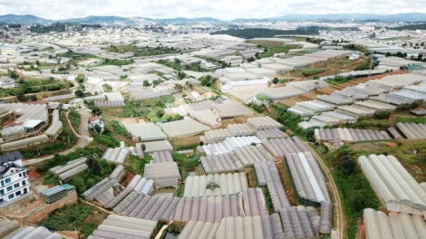 Cau lơh broă sa gơtùi lơh bơta lơi ala hìu krơh taih