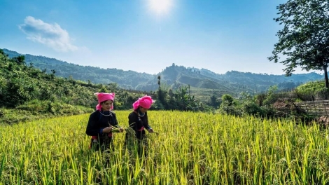 CHƯƠNG TRÌNH KHAY HENG TÀY - NÙNG (Thứ Ba- Vằn 14 bươn 11 pi 2023)