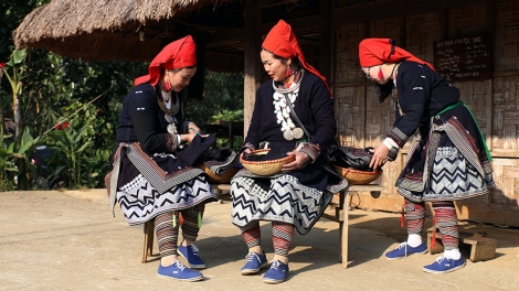 Lầy tzình phát sinh ìu miền vả  hoi 13.11.2023