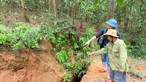 Đấh pa tơơi đhanuôr ắt ma mung đhị dzung da ding Cà Mon