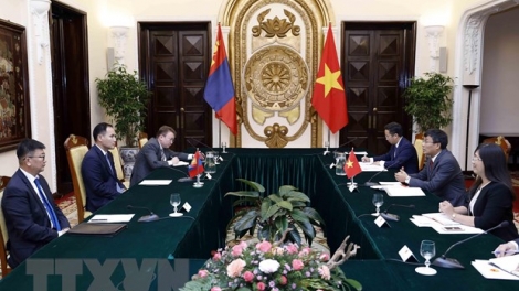 Tơdroăng nếo ai - Hâi pái, lơ 01.11.2023