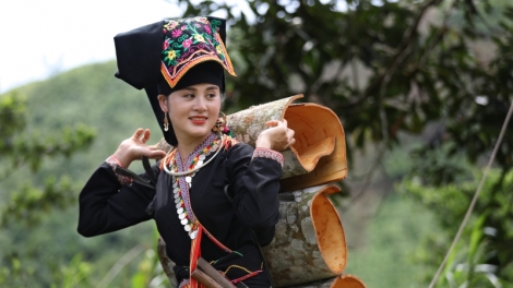 Lầy tzình phát sinh ừu miền vả thứ 4 hoi 1/11/2023