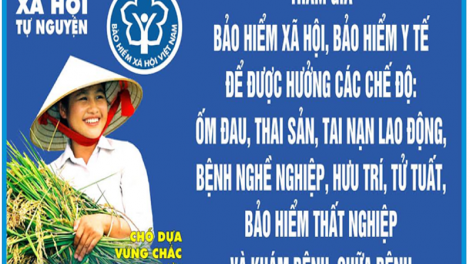 Lầy tzình  phát sinh ìu miền vả  hoi 16.11.2023