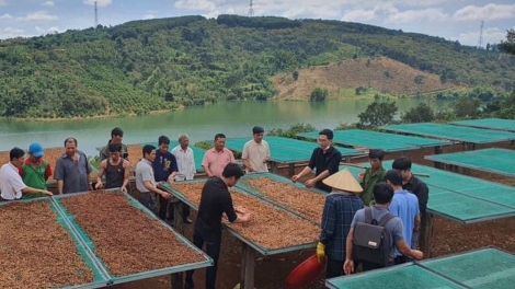 Agribank Dak Nông: Tơgŭm jên ăn kon pơlei bơngai kon kông jang sa, găn lê̆ tơdrong tŏk iŏk jên đe tơ̆ ‘ngoăih hăm jên cheh lơ