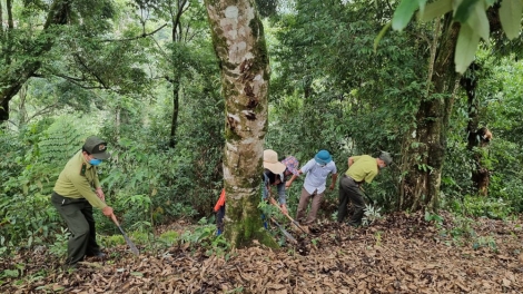 Mơhá liăn ăm hnoăng rak ngăn kong - Ki pơxúa krá ton