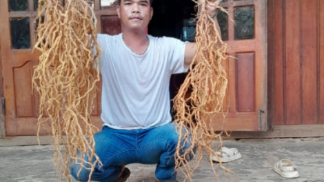 Đảng viên ối a kơpong hngế hngo Quảng Nam kum kuăn pơlê Cơ Tu hluăn kơtiê