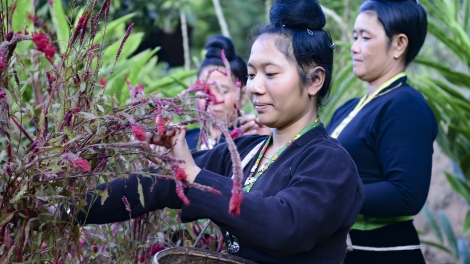 Chường trình văn nghệ thứ 7 mự 11 căm bườn 11 pì 2023 