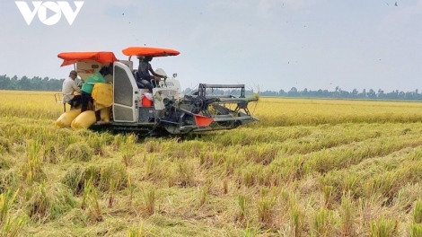 PABLEI TAPA NEGAR LANGIU BRAH DI VIET NAM TUI KUHRIA MEK HU GLAONG DI ABIH LAC 4,5 TỶ USD